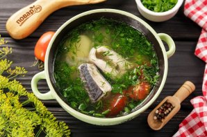 Уха из стерляди Уха из стерляди